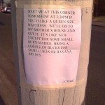craig-matress