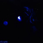 david-berman-silver-jews-seattle-spooky-silhouette
