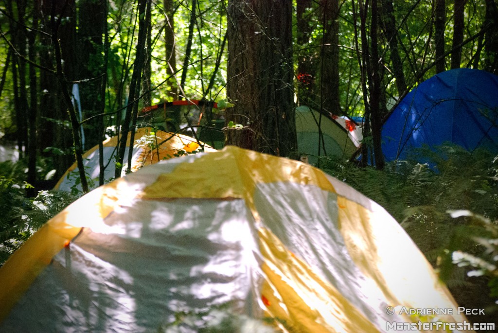 tents-in-woods
