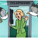 theBirds
